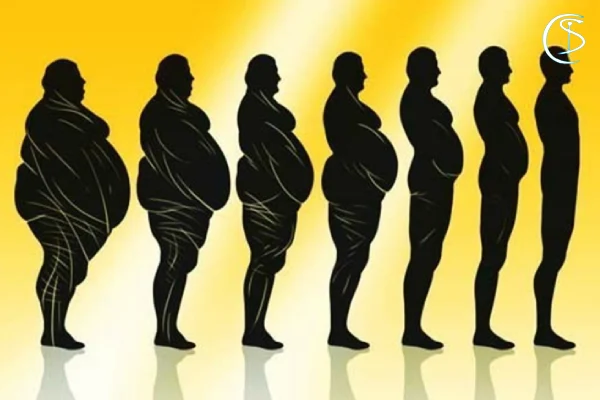 دستگاه لاغری اسکالپشور