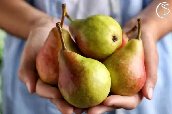 گلابی برای چاقی صورت