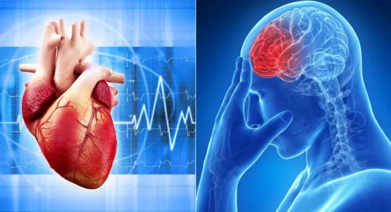 تفاوت بین سکته قلبی و سکته مغزی چیست؟
